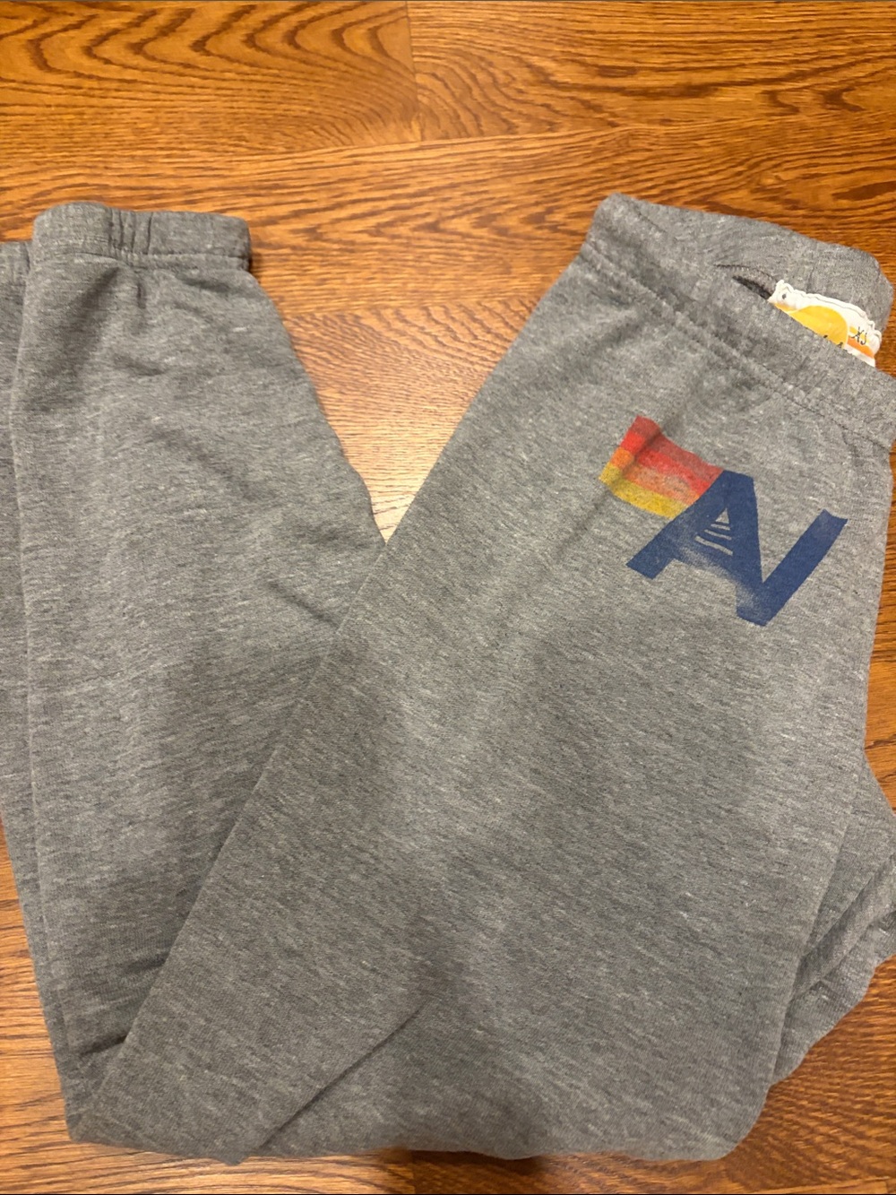 Aviator Nation Gray Sweat Joggers with Rainbow Logo